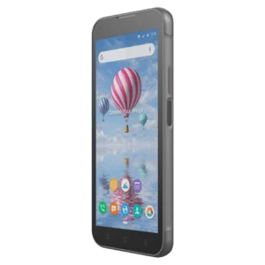 Bluebird HF550X, 2D, SE4100, 14cm (5,5''), USB-C, BT (BLE, 5.0), WLAN, 4G, NFC, Android, GMS, RB